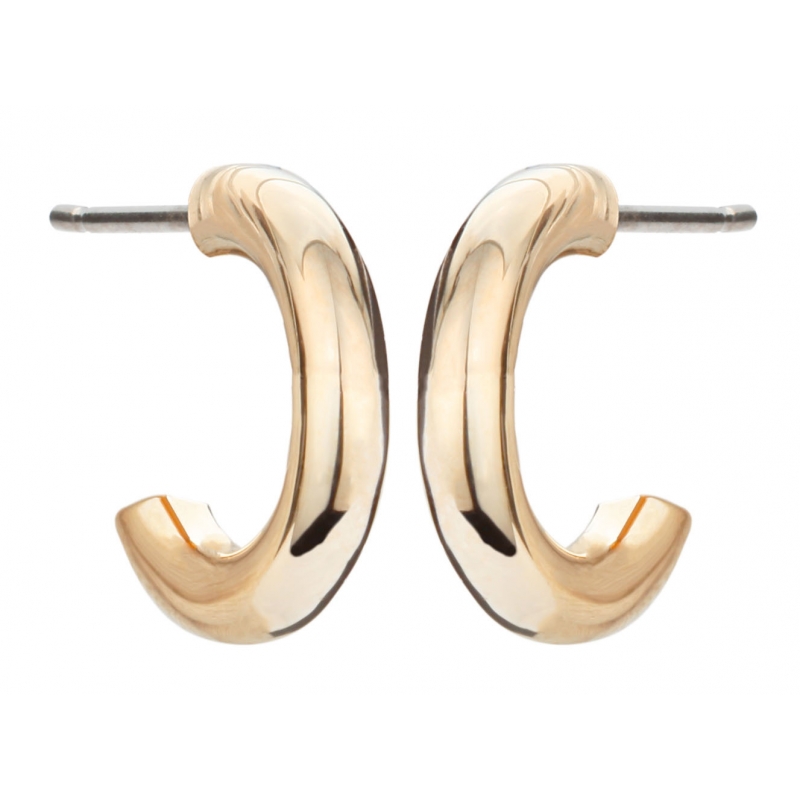 Traveller Oorstekers verguld